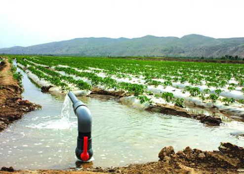Agriculture Industry